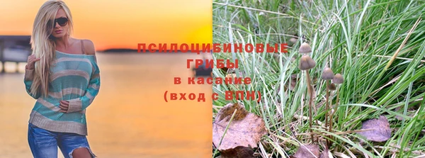 PSILOCYBIN Аркадак