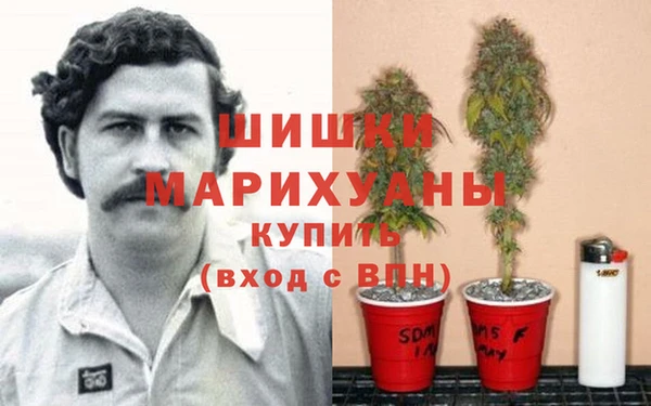 PSILOCYBIN Аркадак