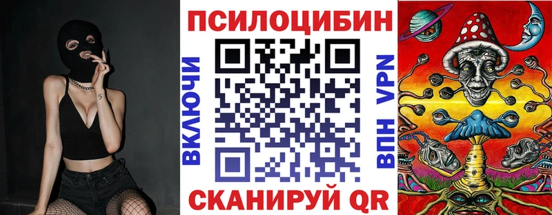 Галлюциногенные грибы мицелий как найти ОМГ ОМГ tor Порхов